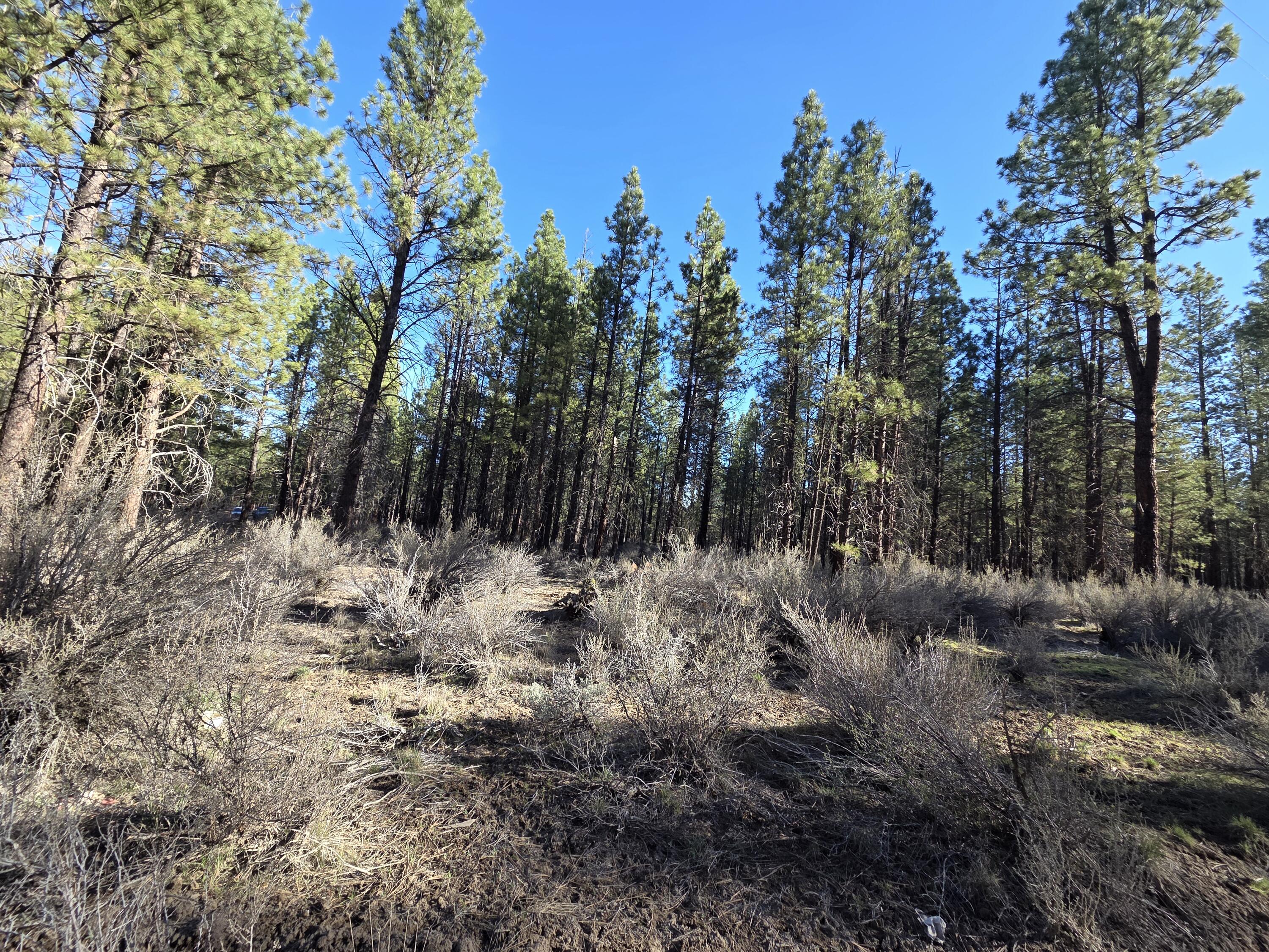 0 Grey Wolf Lane, Unit LOT 7 Chiloquin, OR 97624 - Photo 5 of 6 Lot