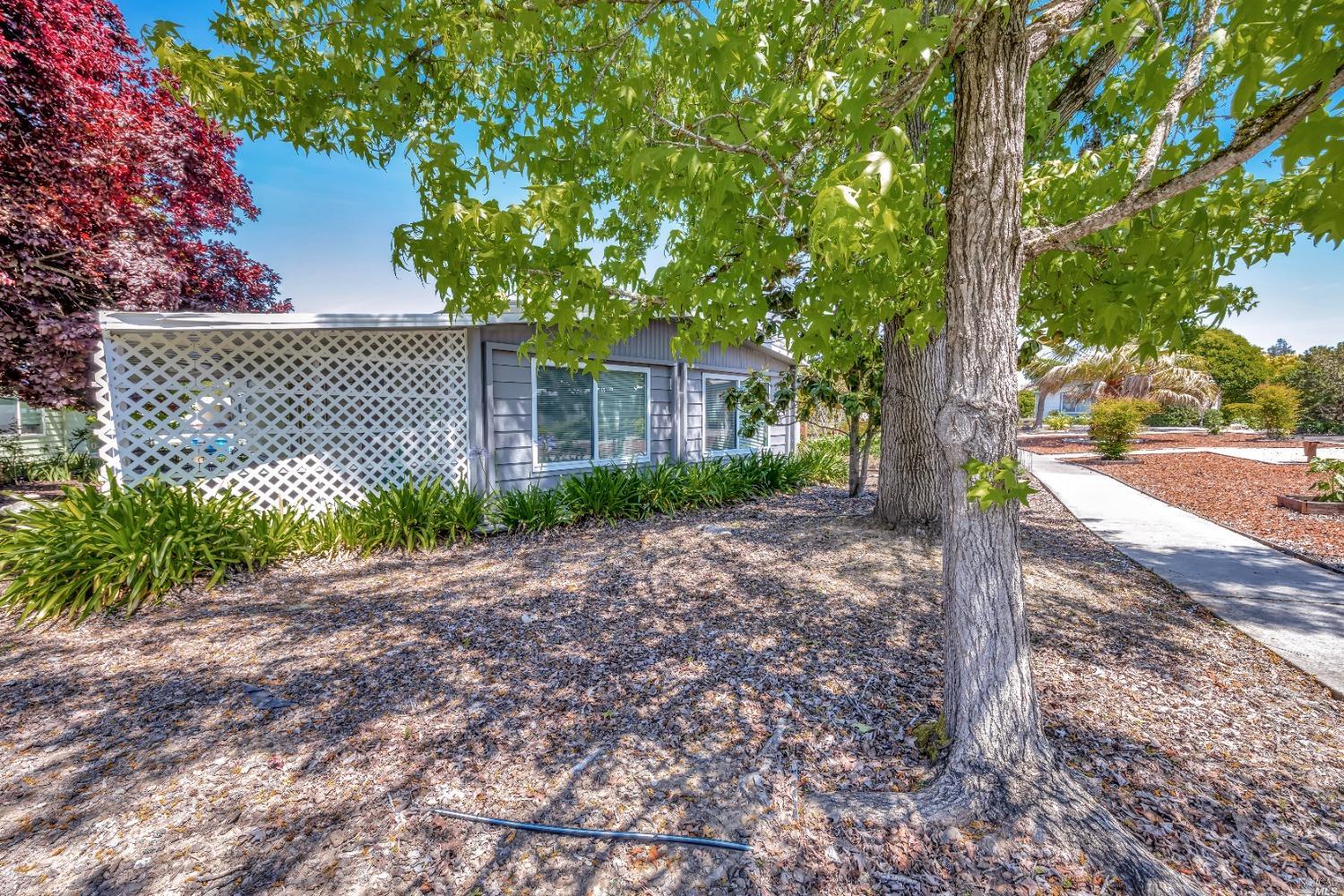 a wooden fence with a trees