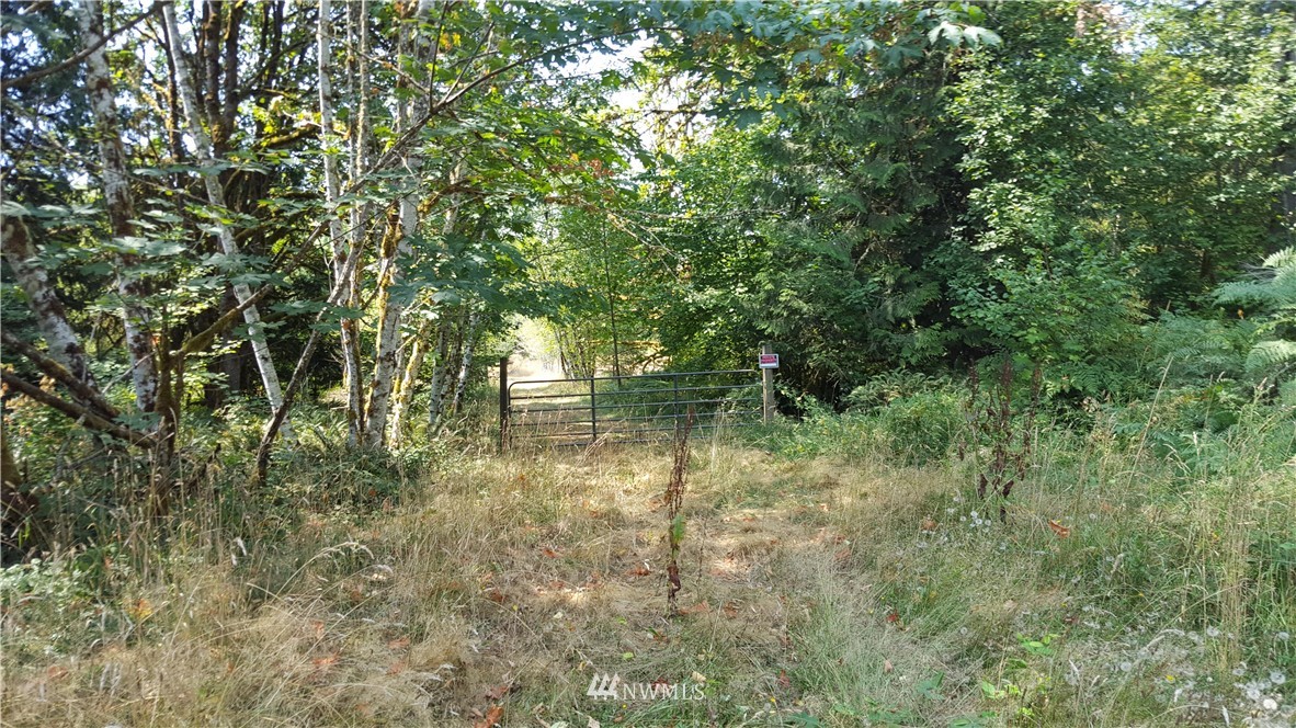2541 Spencer Road Salkum, WA 98582 - Photo 1 of 4 Gallery Image 1