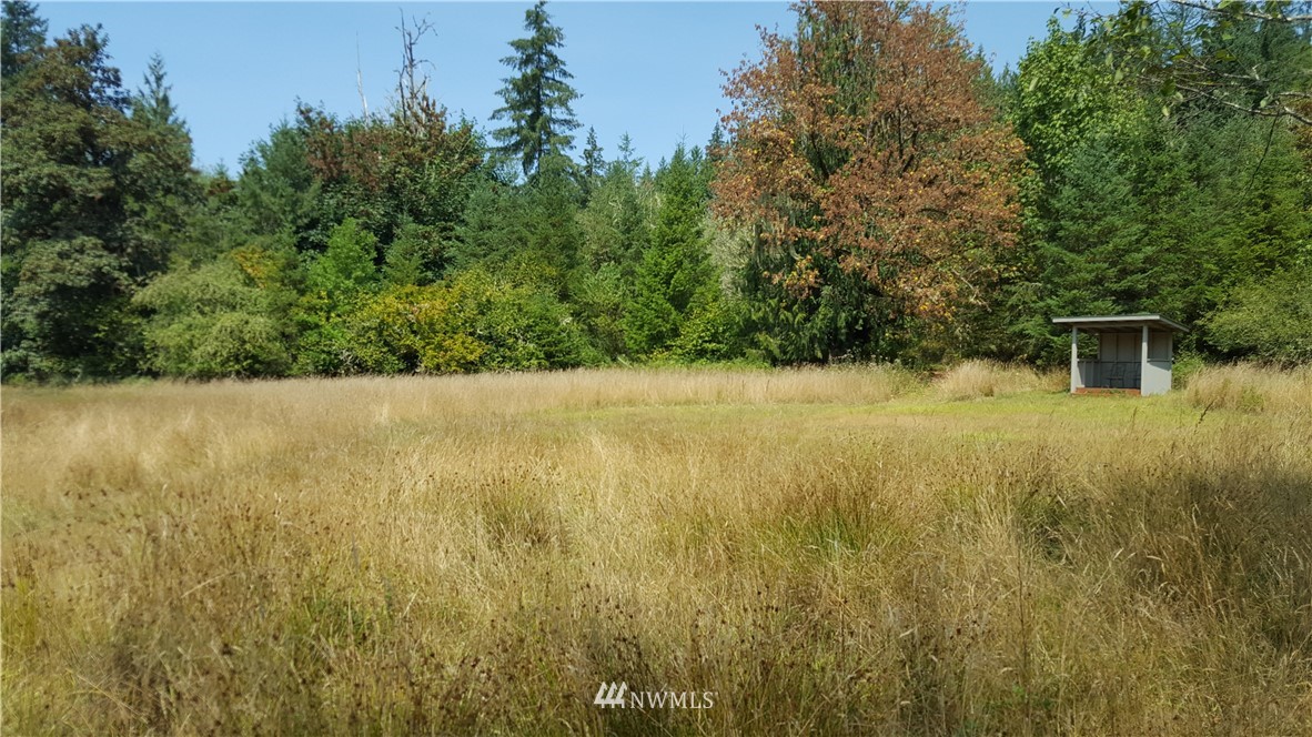 2541 Spencer Road Salkum, WA 98582 - Photo 2 of 4 Gallery Image 2
