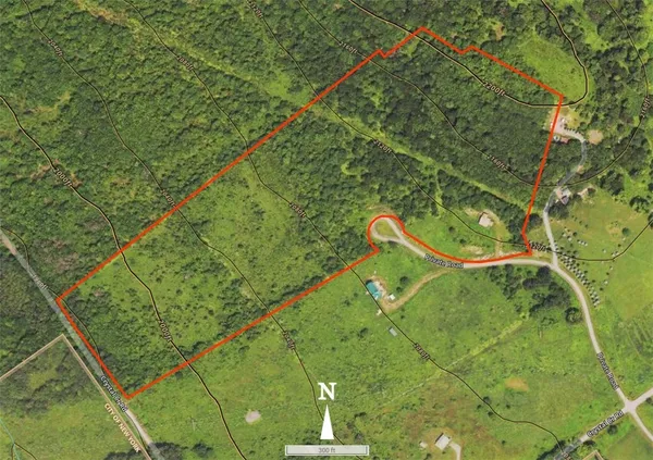 $300,000 | 156 Lee Lane, Walton, NY 13856