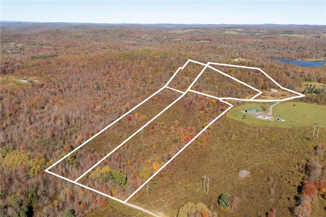 $349,000 | 156 Lee Lane, Walton, NY 13856