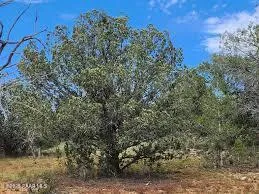 a view of a building