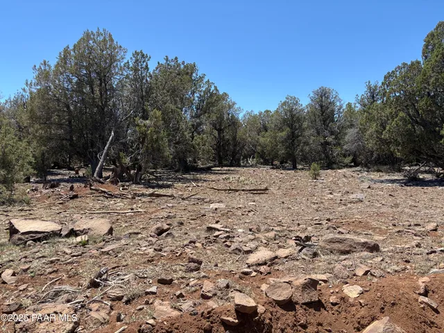 a view of outdoor space with trees