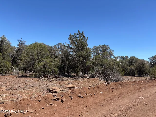 a view of a yard with a tree