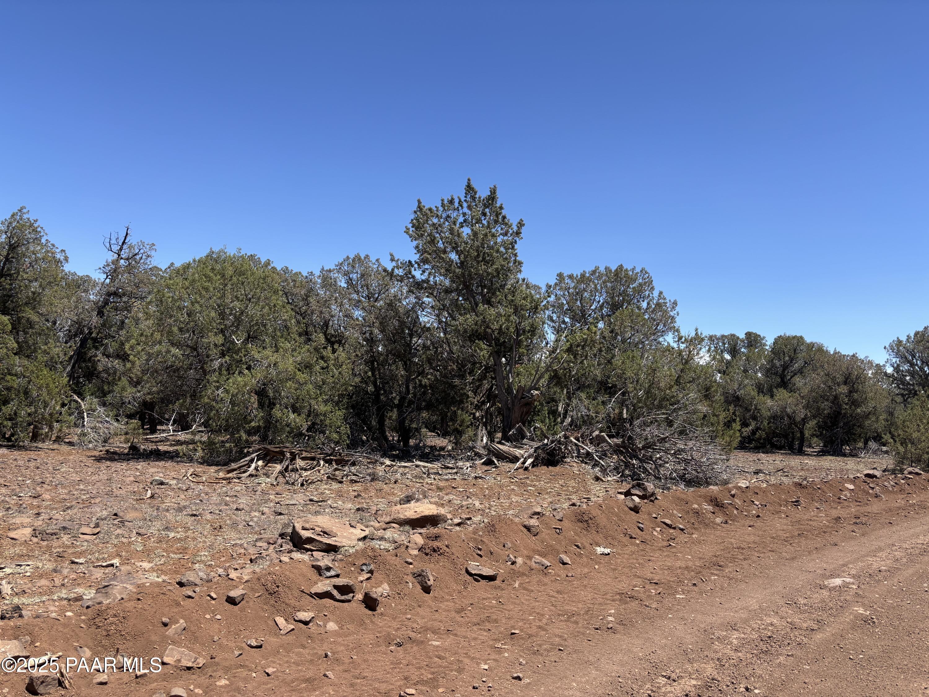 970 Westwood Ranch Williams, AZ 86046 - Photo 9 of 10 a view of a yard with a tree