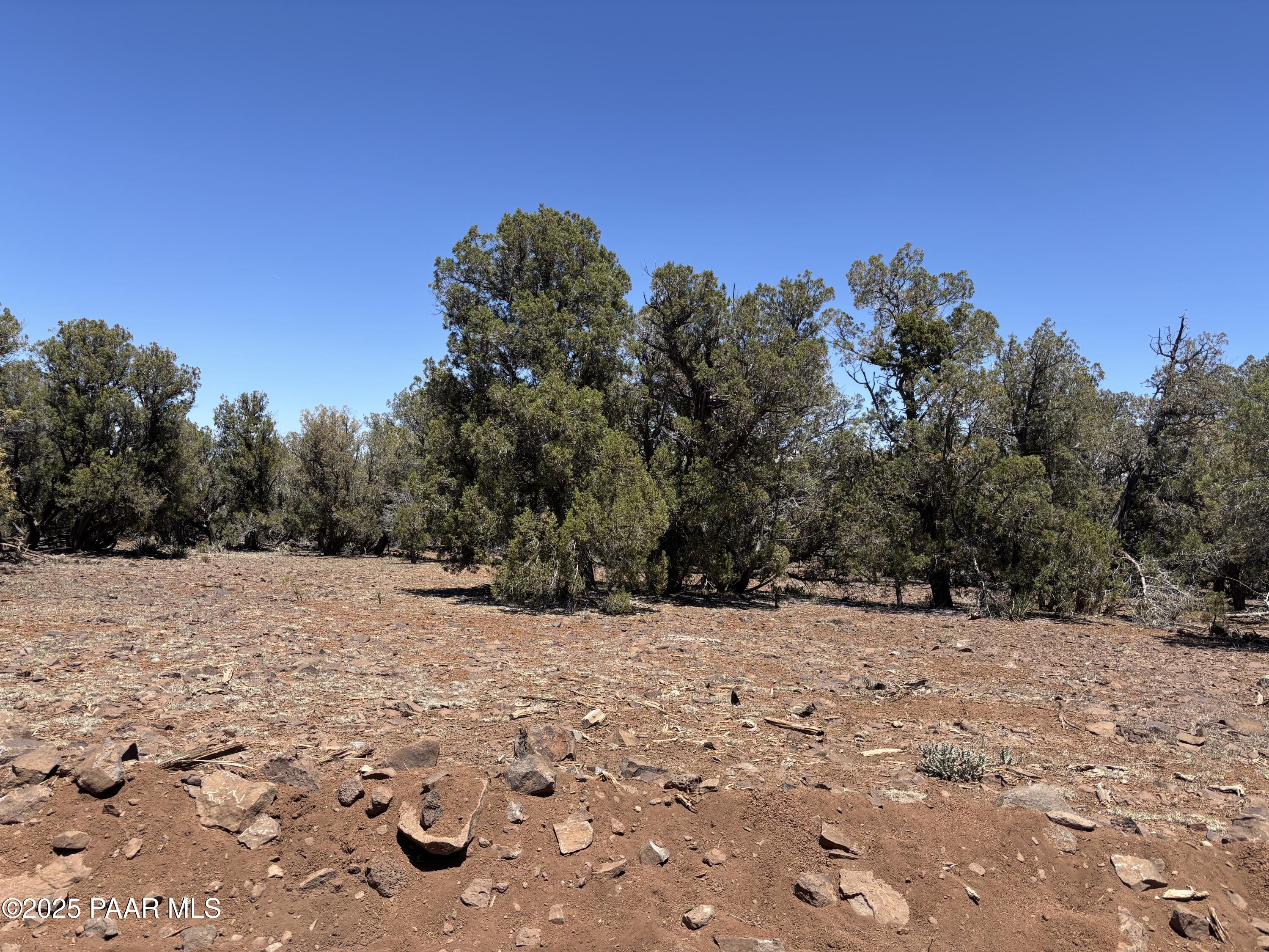 970 Westwood Ranch Williams, AZ 86046 - Photo 10 of 10 a street view covered with snow