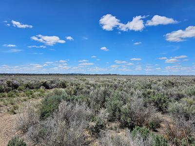 300 Millican Road Christmas Valley, OR 97641 - Photo 10 of 10 Millica acreage