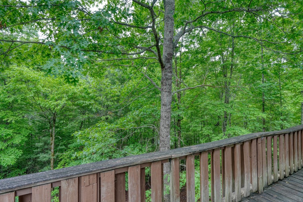 1066 Ridge Road Hiawassee, GA 30546 - Photo 34 of 51 a balcony with wooden floor and trees in the back