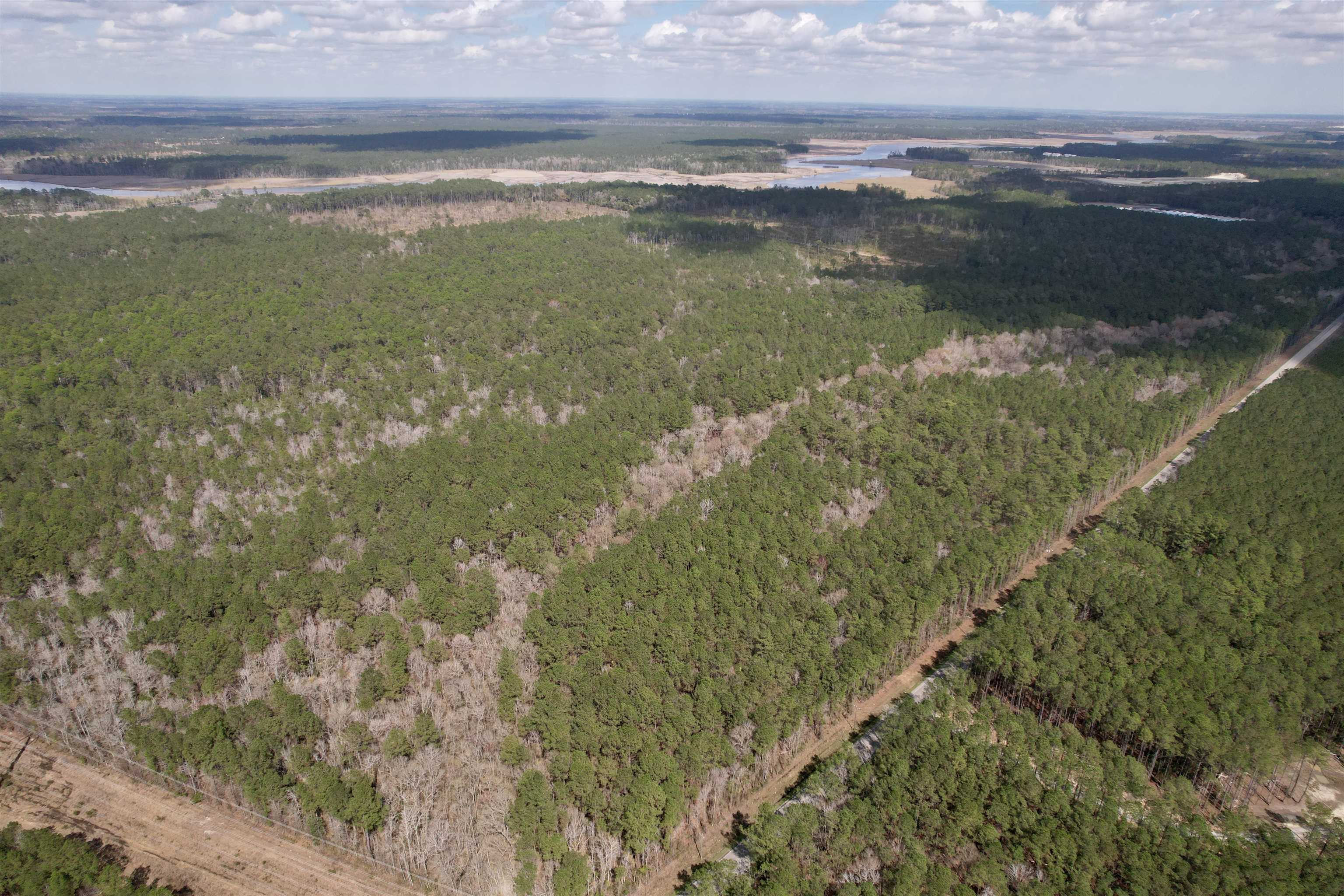 Tract B - Tbd Tract B - Tbd Pennyroyal Road Georgetown, SC 29440 - Photo 4 of 23