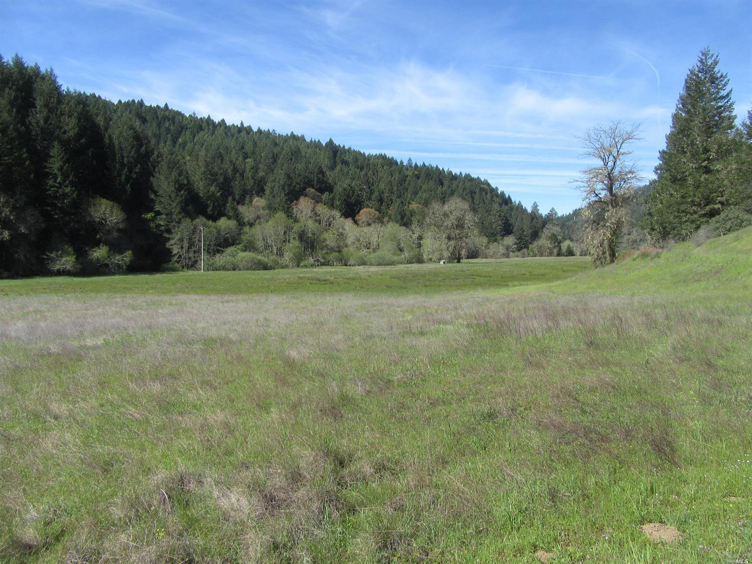 7501 Hearst Road Willits, CA 95490 - Photo 1 of 1 a view of outdoor space and yard