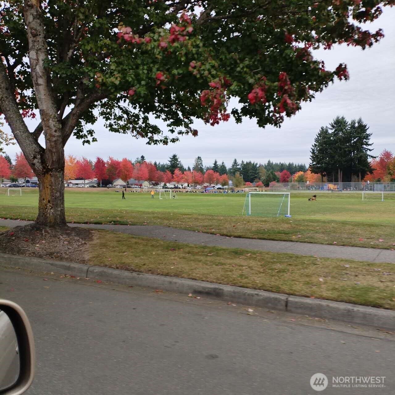 6304 Barstow Lane Southeast, Unit 7 Lacey, WA 98513 - Photo 29 of 29