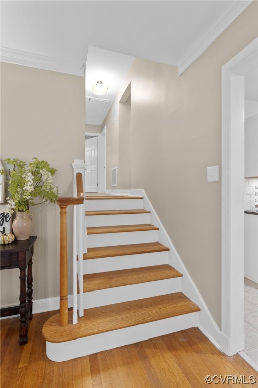 3316 Ottawa Road Richmond, VA 23225 - Photo 25 of 42 Gallery Image 25
