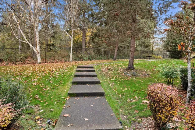 a view of a yard with plants