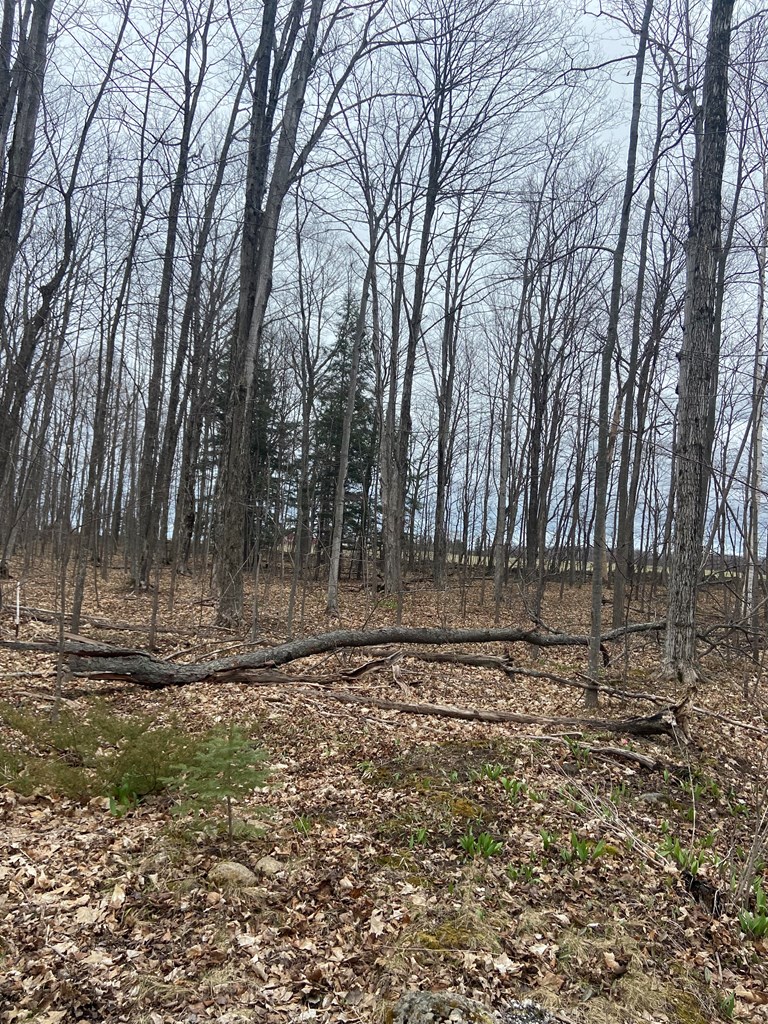 Lot 7 Heritage Meadows Road Egg Harbor, WI 54209 - Photo 3 of 3