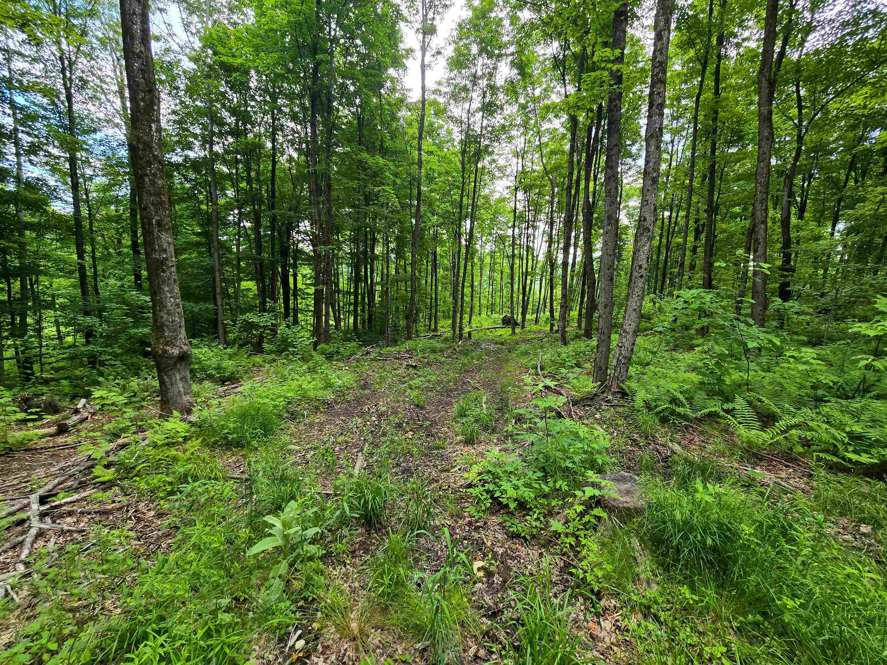 433 Wightman Hill Road Richford, VT 05476 - Photo 38 of 44