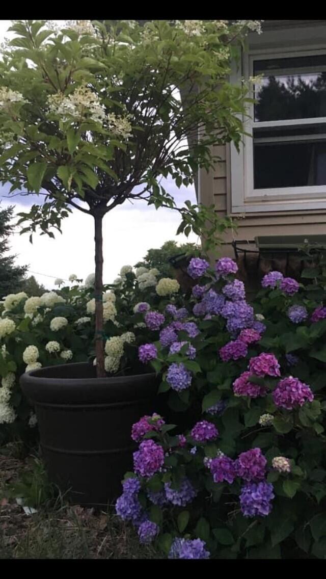 9188 Erdman Road Onekama, MI 49675 - Photo 30 of 33 flower gardens