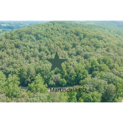 0 Martindale Road LaFayette, GA 30728 - Photo 3 of 10 Martindale RD