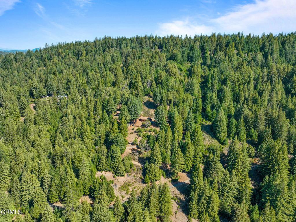 19200 Tramway Navarro, CA 95463 - Photo 46 of 50 a view of a lush green forest with a lake