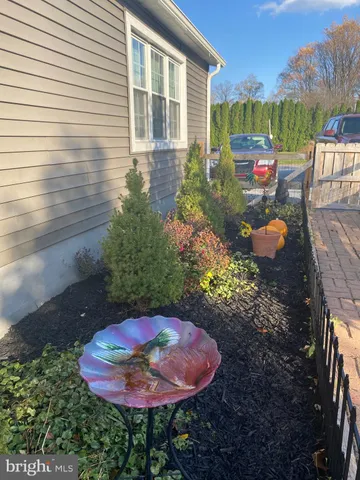 a view of a park with large trees