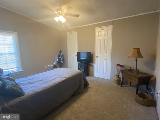 a view of a backyard with plants