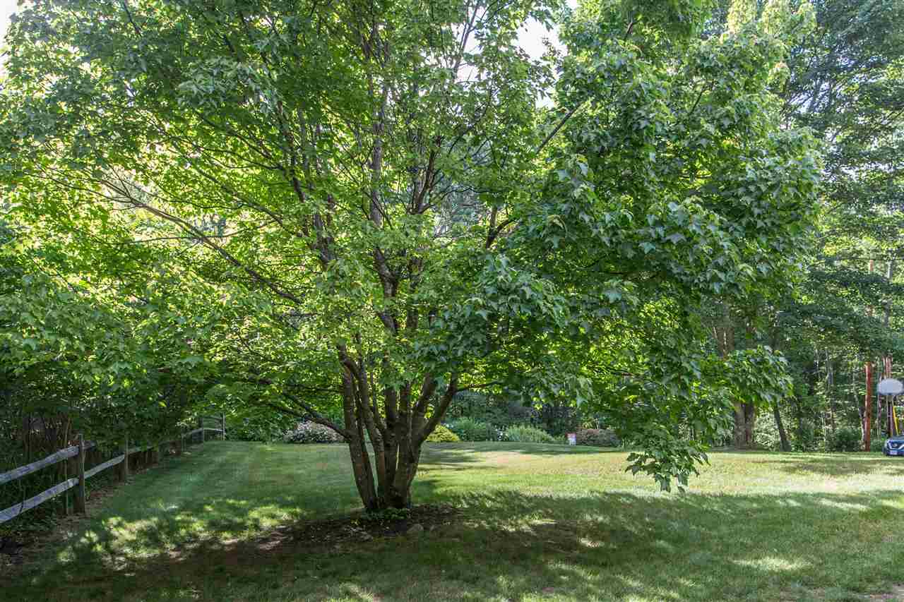 54 Haynes Road Deerfield, NH 03037 - Photo 33 of 39