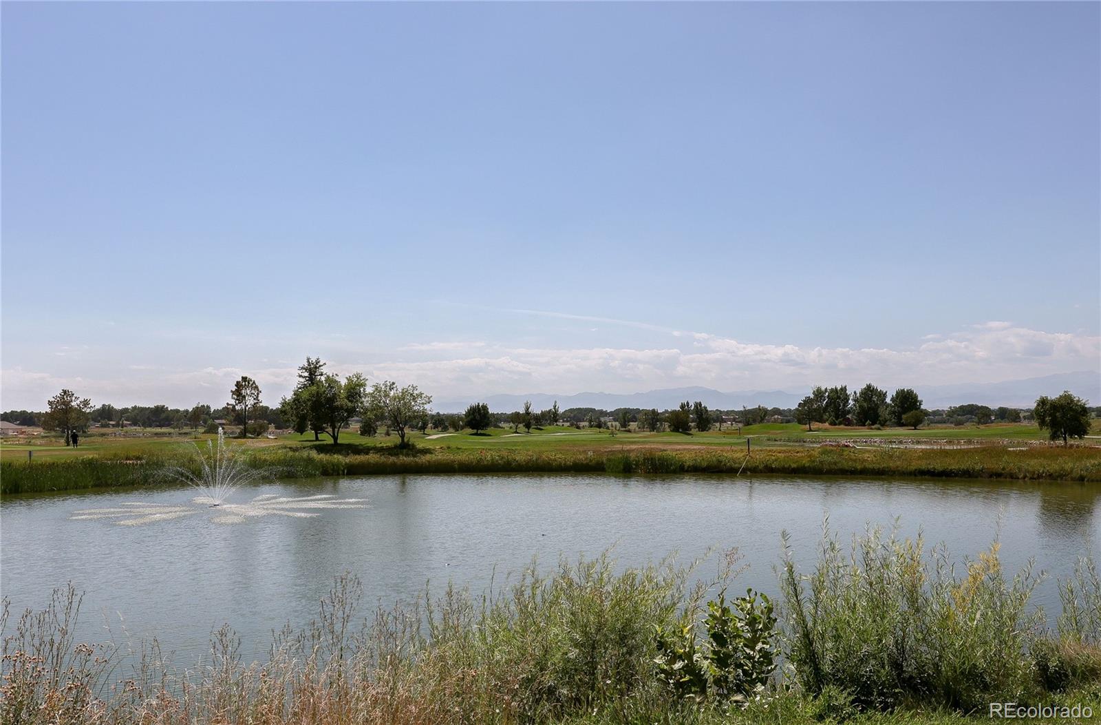 8891 Foxfire Street Firestone, CO 80504 - Photo 35 of 37 a view of a lake with boats and trees in the background