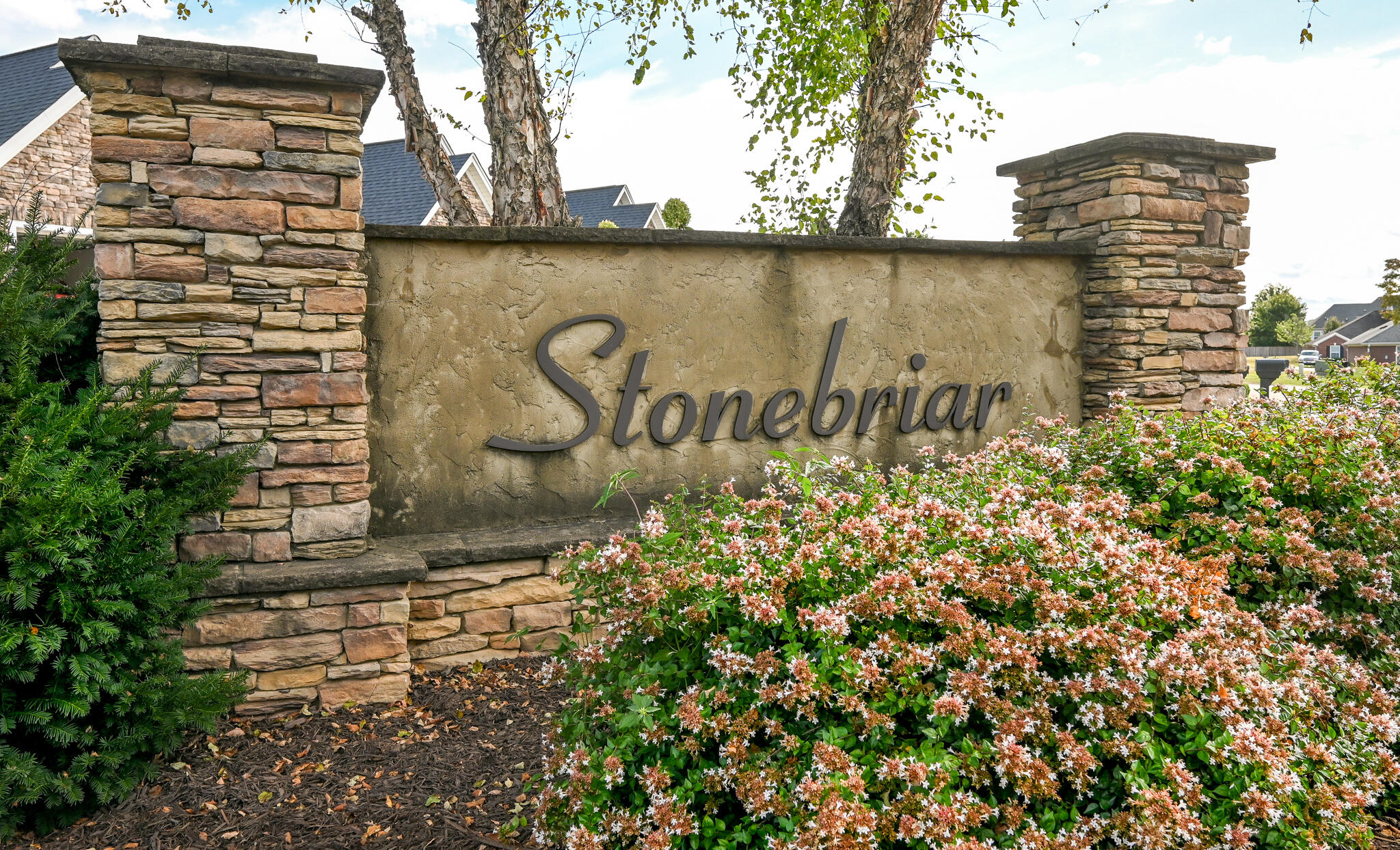 3810 Old Tasso Road Northeast Cleveland, TN 37312 - Photo 37 of 37 Stonebriar Subdivision