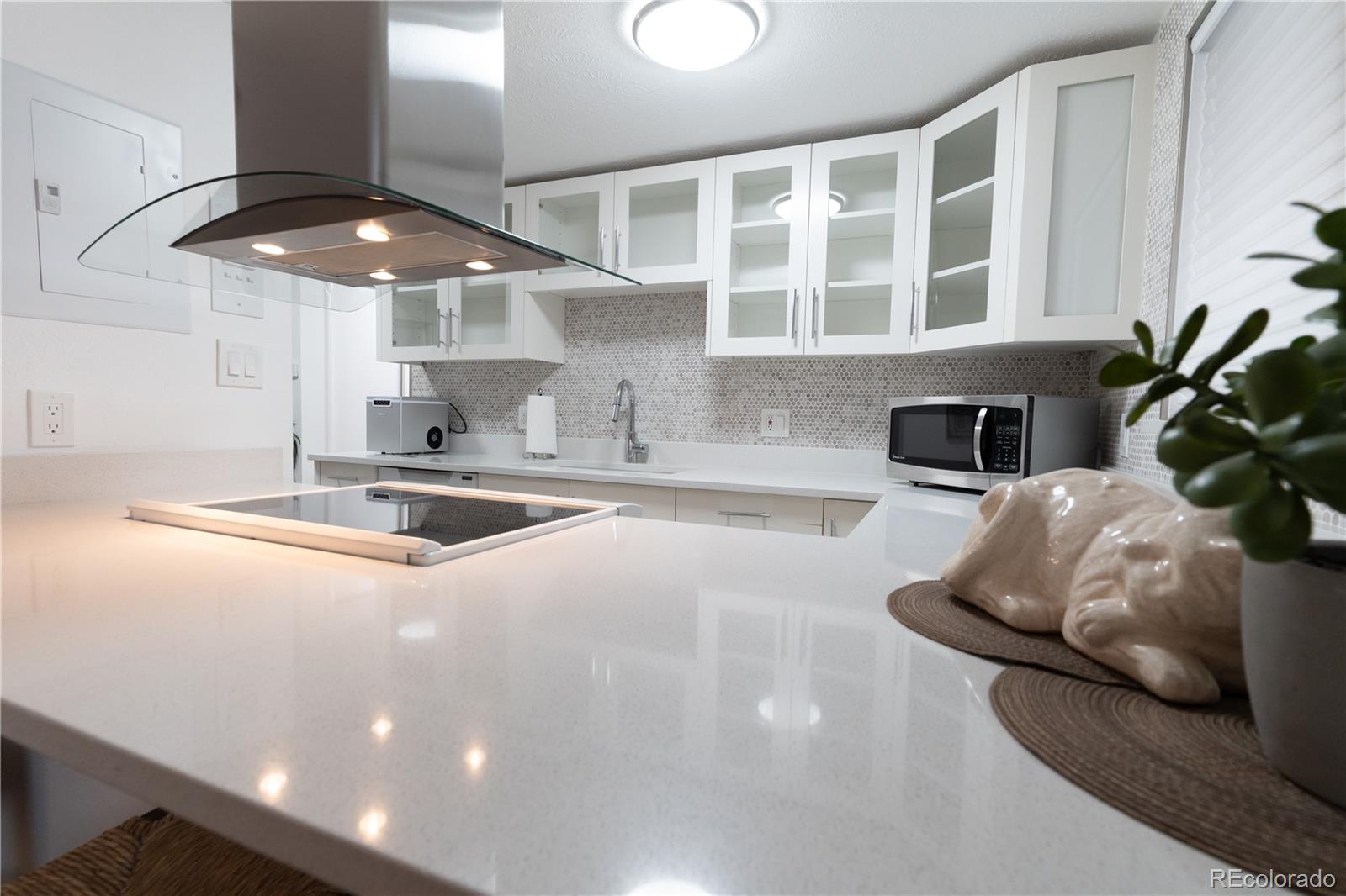 352 South Lafayette St Unit 204  