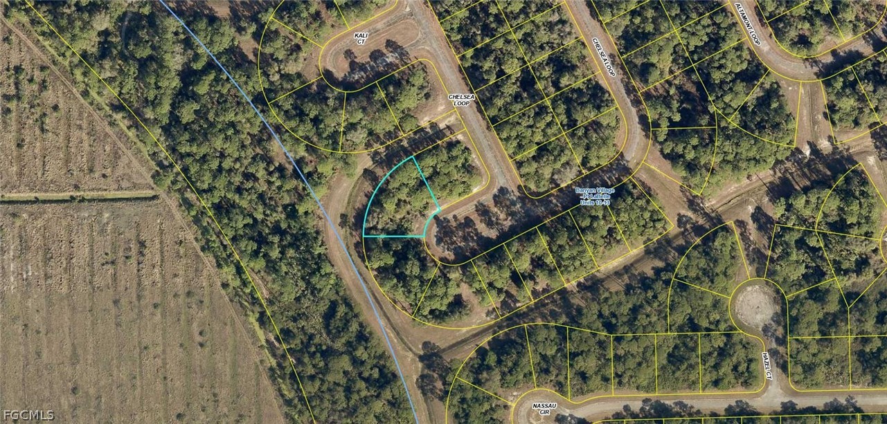 431 Chelsea Loop LaBelle, FL 33935 - Photo 2 of 4