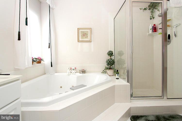 15619 Thompson Road Silver Spring, MD 20905 - Photo 16 of 27 Master Bath with whirlpool tub