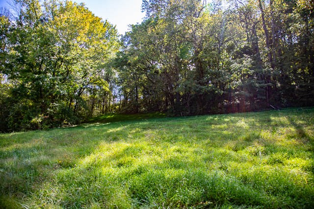 0 Sparkman Road Thompson's Station, TN 37179 - Photo 15 of 30 Gallery Image 15