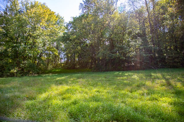 0 Sparkman Road Thompson's Station, TN 37179 - Photo 16 of 30 Gallery Image 16