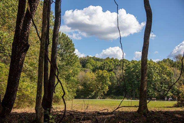 0 Sparkman Road Thompson's Station, TN 37179 - Photo 19 of 30 Gallery Image 19