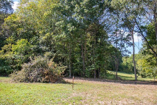 0 Sparkman Road Thompson's Station, TN 37179 - Photo 23 of 30 Gallery Image 23