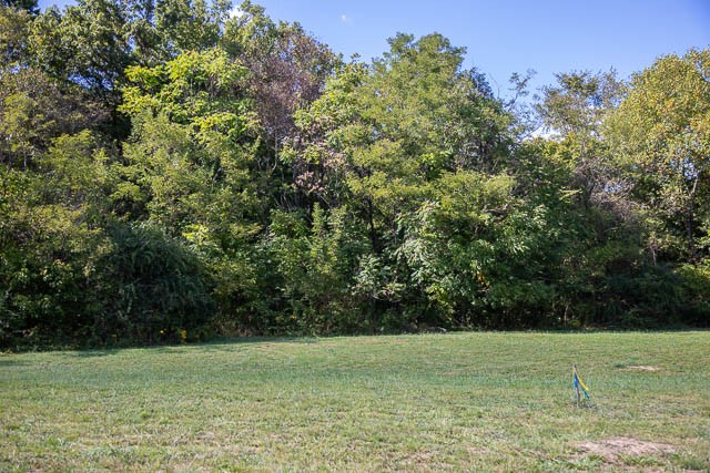 0 Sparkman Road Thompson's Station, TN 37179 - Photo 25 of 30 Gallery Image 25