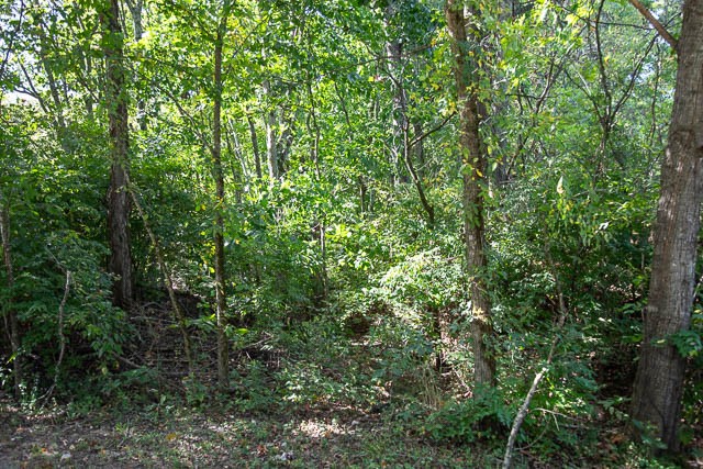 0 Sparkman Road Thompson's Station, TN 37179 - Photo 27 of 30 Gallery Image 27
