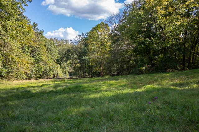 0 Sparkman Road Thompson's Station, TN 37179 - Photo 9 of 30 Gallery Image 9
