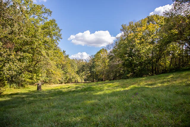 0 Sparkman Road Thompson's Station, TN 37179 - Photo 10 of 30 Gallery Image 10