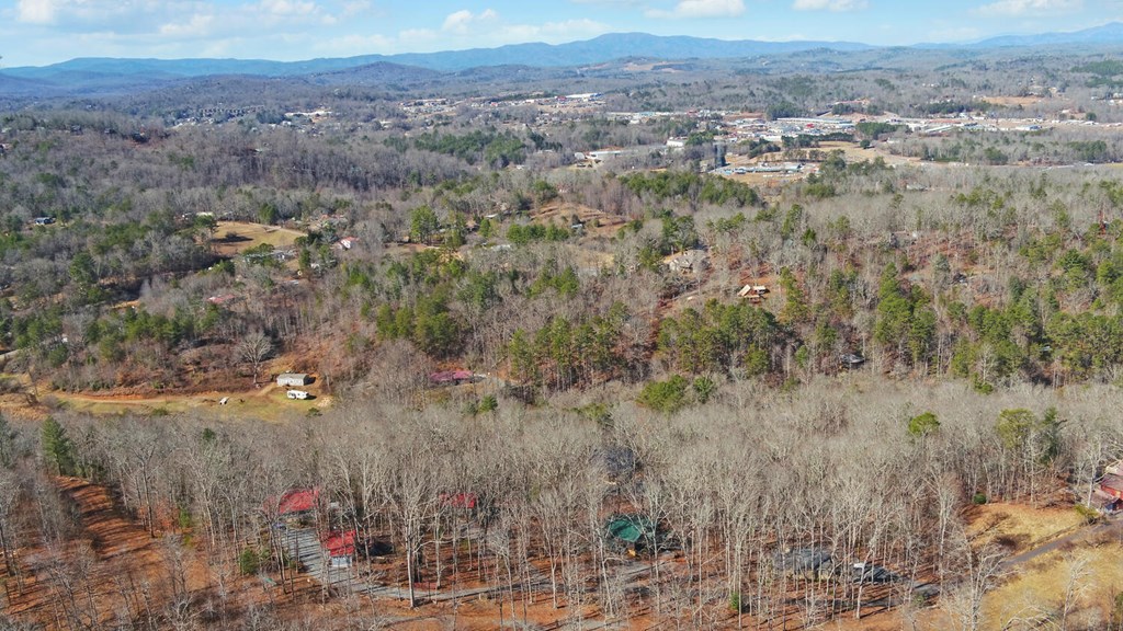 380 Tanglewood Drive Blue Ridge, GA 30513 - Photo 37 of 39 Gallery Image 37