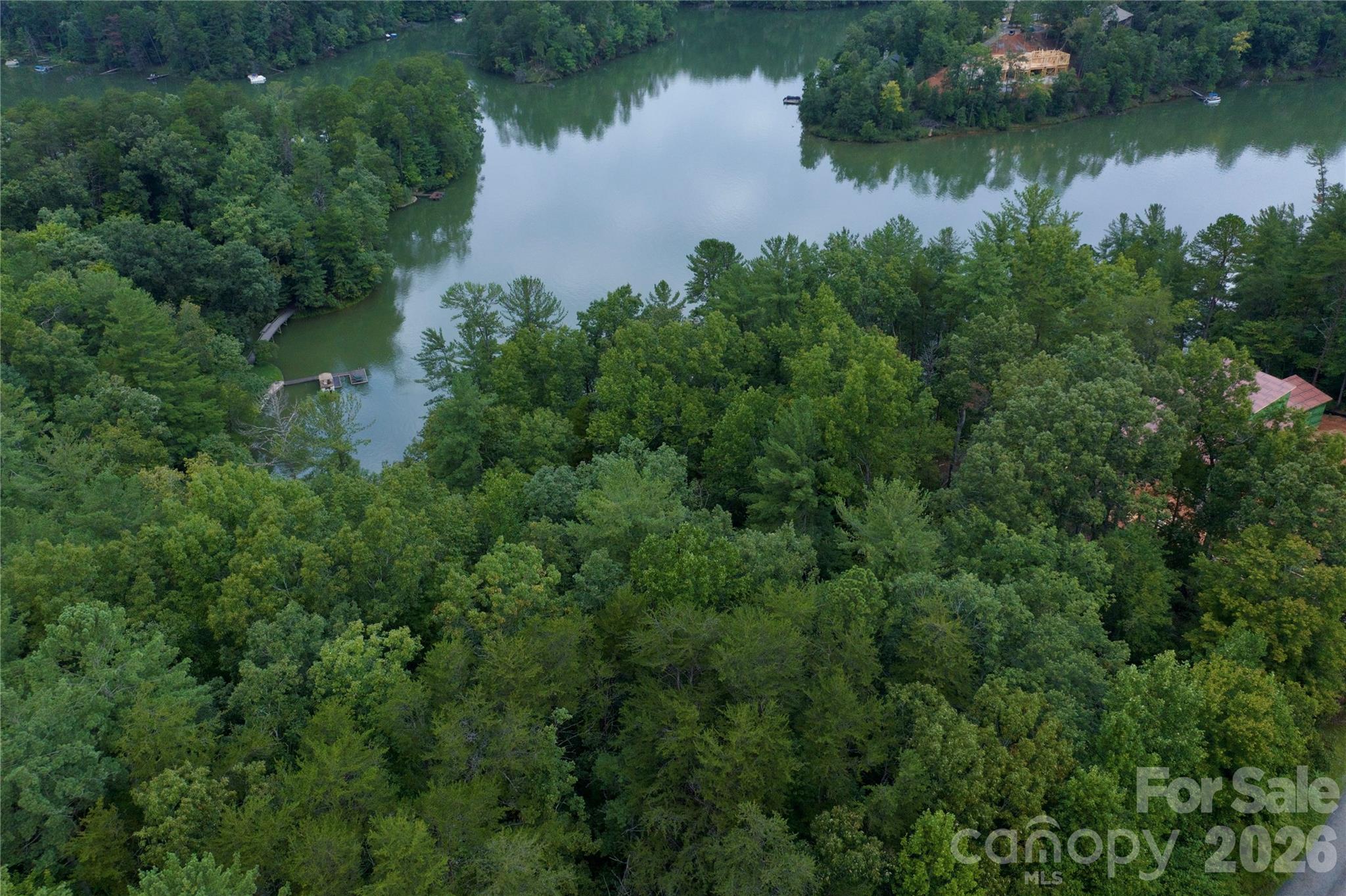 3 South Pointe Road Mill Spring, NC 28756 - Photo 9 of 10 Gallery Image 9