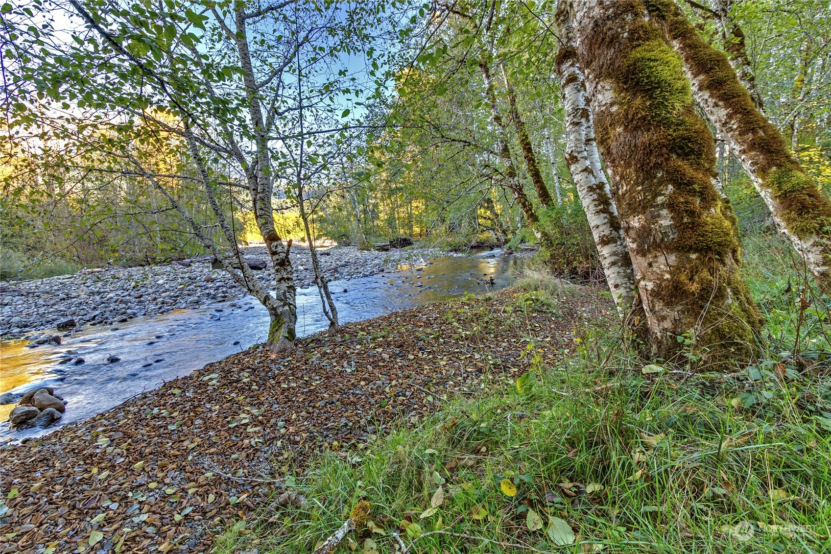 381 Craig Road Packwood, WA 98361 - Photo 11 of 40 Gallery Image 11