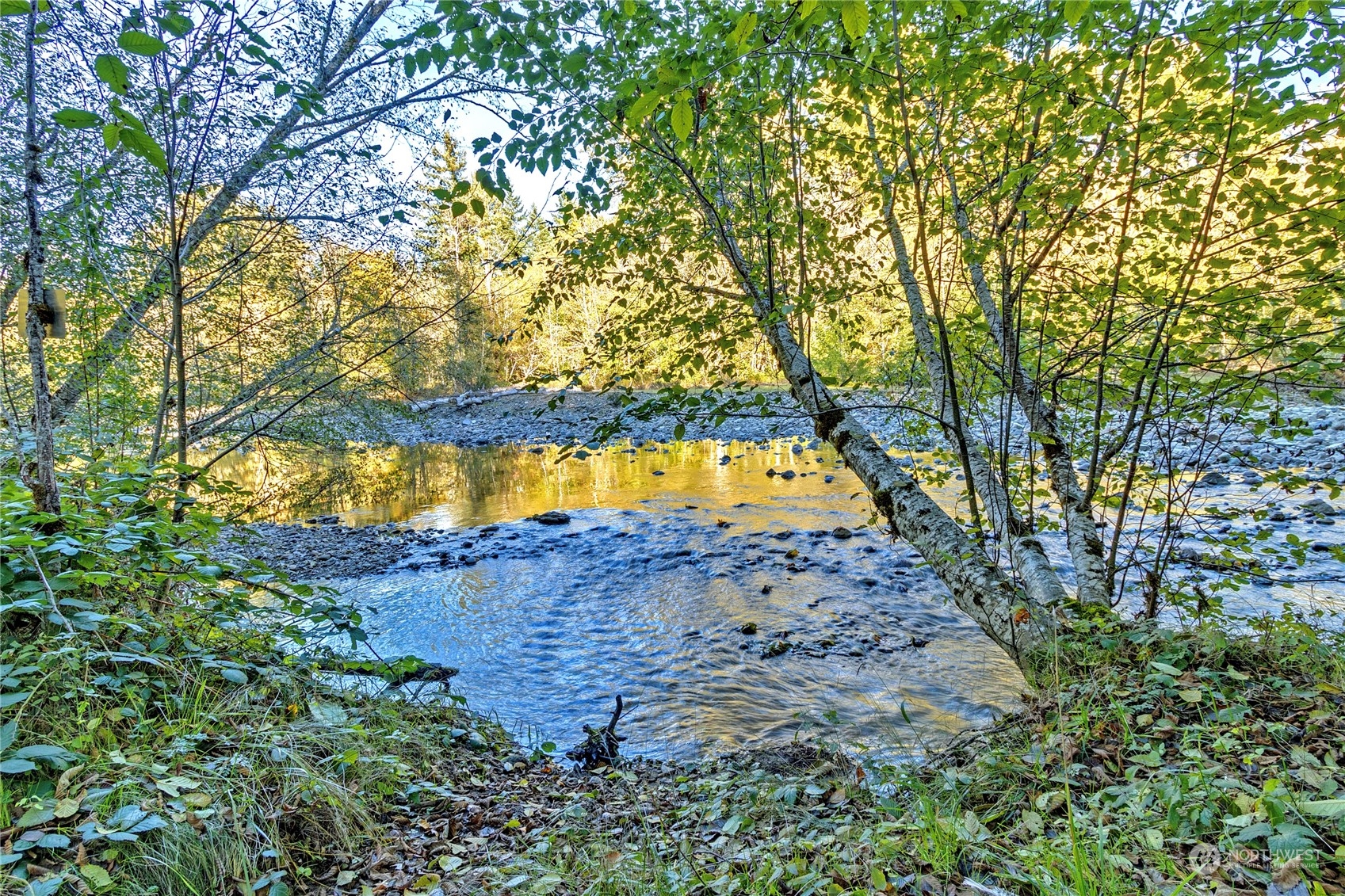 381 Craig Road Packwood, WA 98361 - Photo 2 of 40 Gallery Image 2