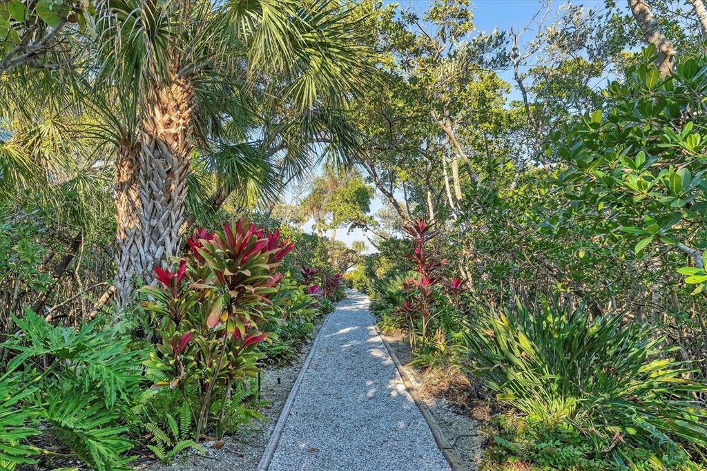 660 Cedars Court Longboat Key, FL 34228 - Photo 34 of 35 a pathway of a yard