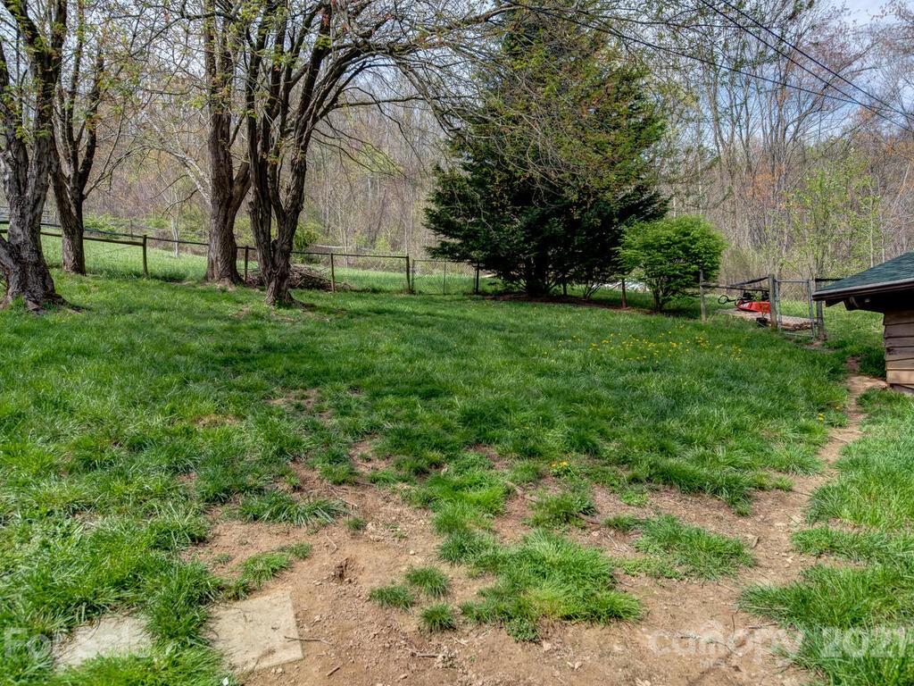 251 Riding High Road Waynesville, NC 28785 - Photo 32 of 41 a view of backyard with tree