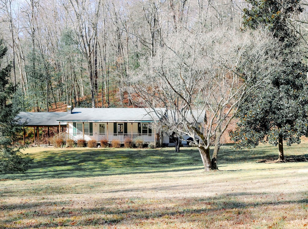Gallery Image 6