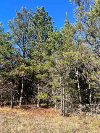 $4,500 | 0 East North Down River Road, Unit LOT 364, Grayling, MI 49738