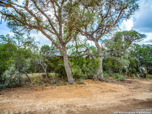 708 Sharp Spgs Road Bulverde, TX 78163 - Photo 3 of 17