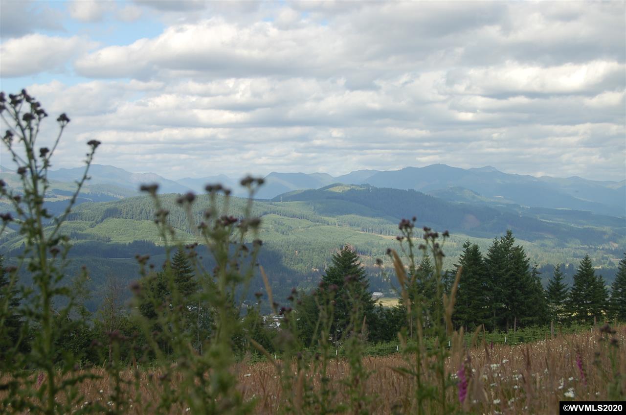 40593 North McCully Mountain Road Lyons, OR 97358 - Photo 1 of 6 Gallery Image 1