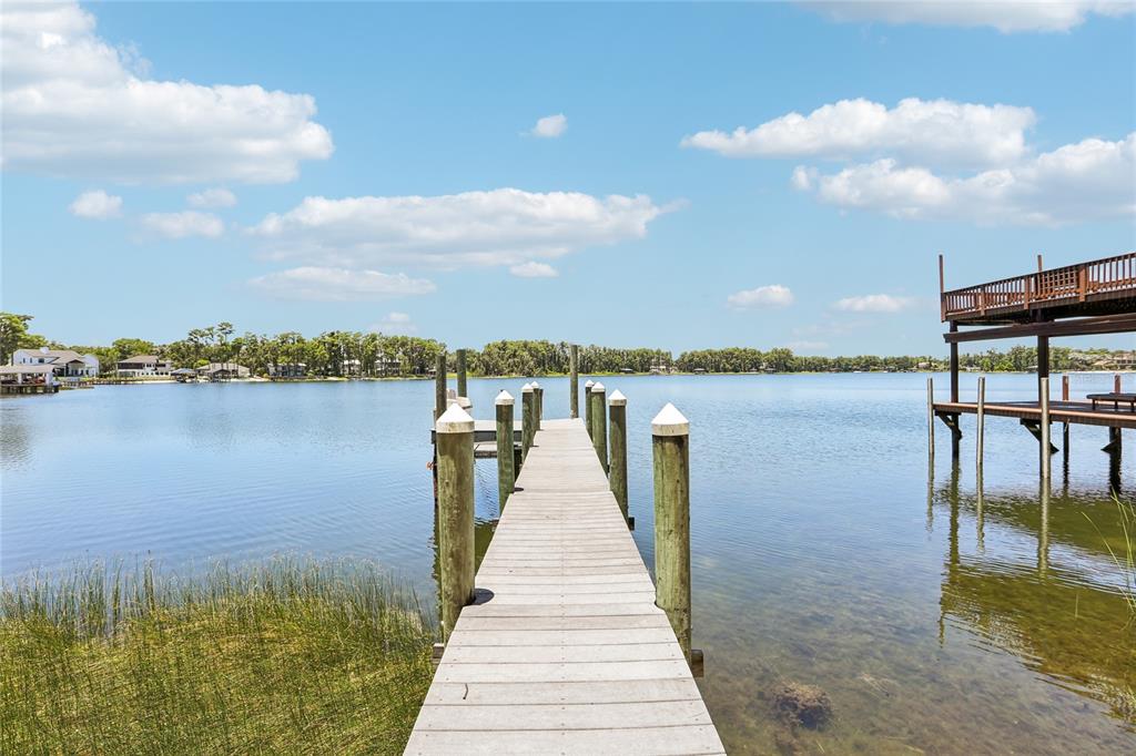 17810 Crawley Road Odessa, FL 33556 - Photo 51 of 76
